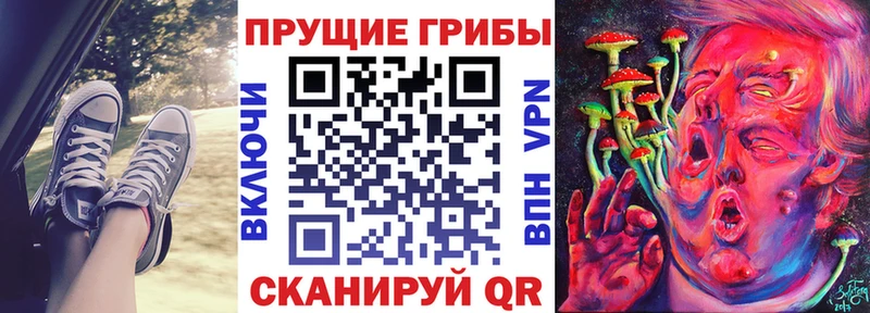 хочу Пересвет Галлюциногенные грибы Magic Shrooms